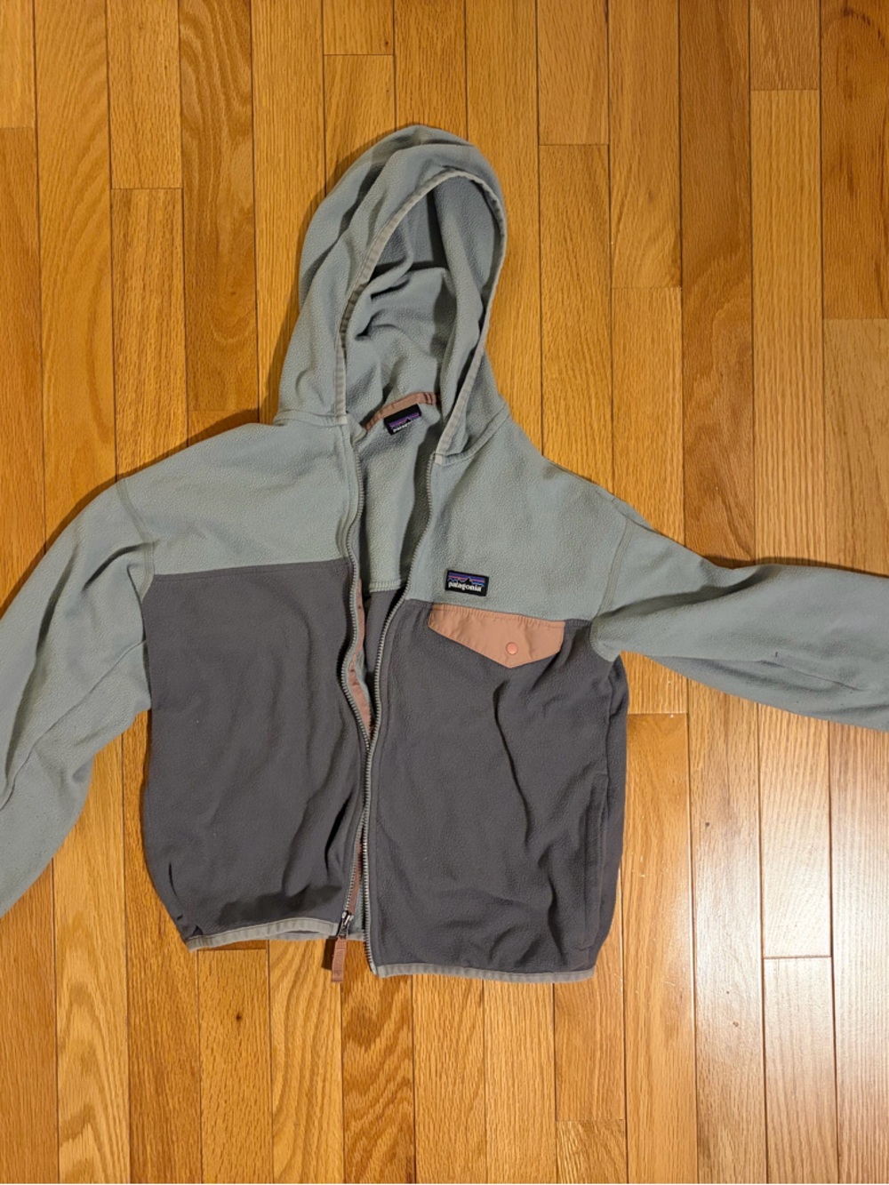 Patagonia Two-Tone Hooded Micro D Fleece Jacket